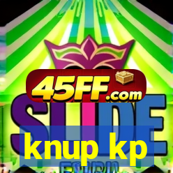 knup kp-t89 driver